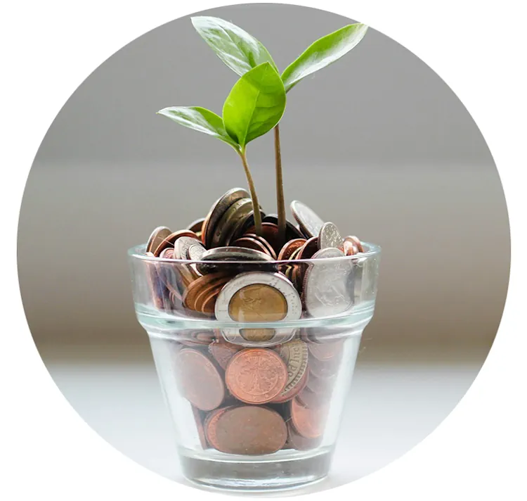 Budget Image Screenshot